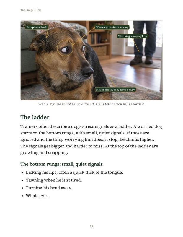 Reading stress signals page